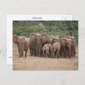 象 ポストカード (正面/裏面)