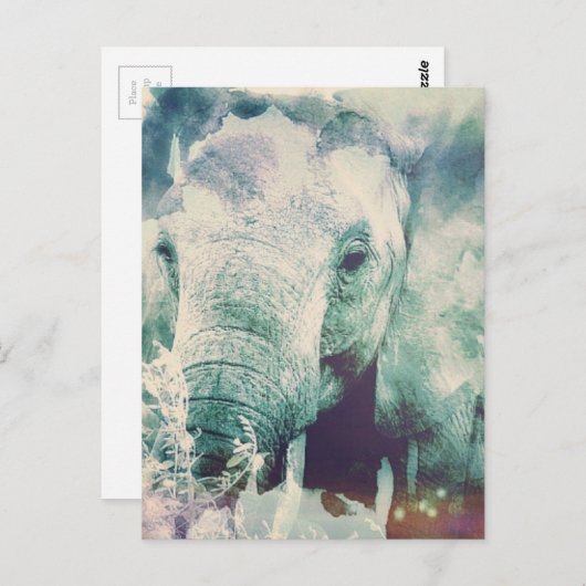 象 ポストカード (正面/裏面)