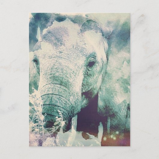 象 ポストカード (正面)