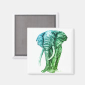 象 マグネット (正面/裏面)