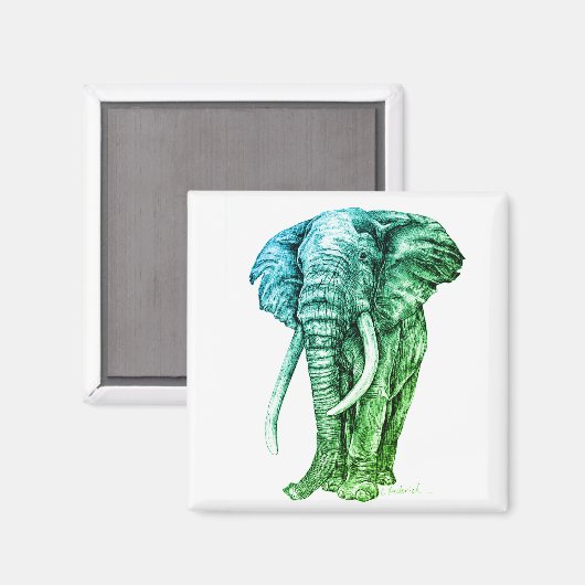 象 マグネット (正面/裏面)