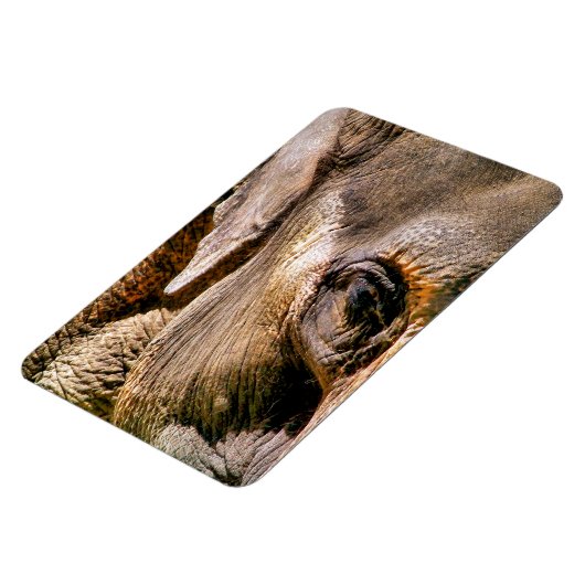 象 マグネット (左側)