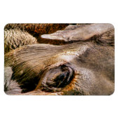 象 マグネット (横)