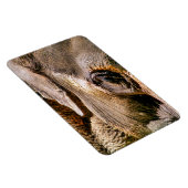 象 マグネット (右側)