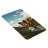 象 マグネット (右側)