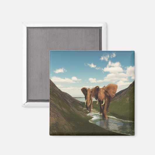 象 マグネット (正面/裏面)