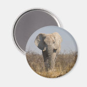 象 マグネット (正面/裏面)