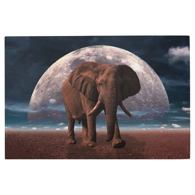 象 メタルプリント (正面)