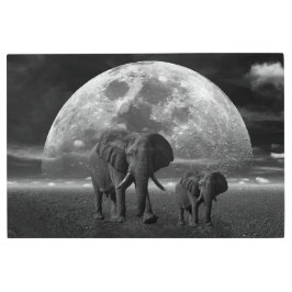 象 メタルプリント