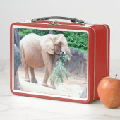 象 メタルランチボックス (インサイチュ)