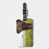 象 ラゲッジタグ (正面縦)