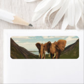 象 ラベル (インサイチュ)