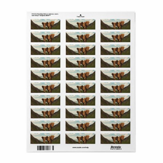 象 ラベル (フルシート)