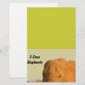 象 便箋 (正面/裏面)