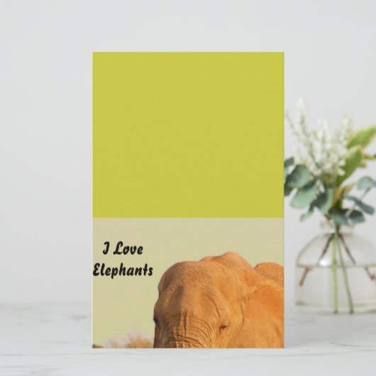 象 便箋 (スタンド正面)