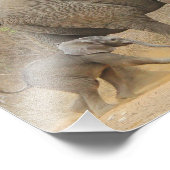 象 – 動物ベビー美 フォトプリント            (角)