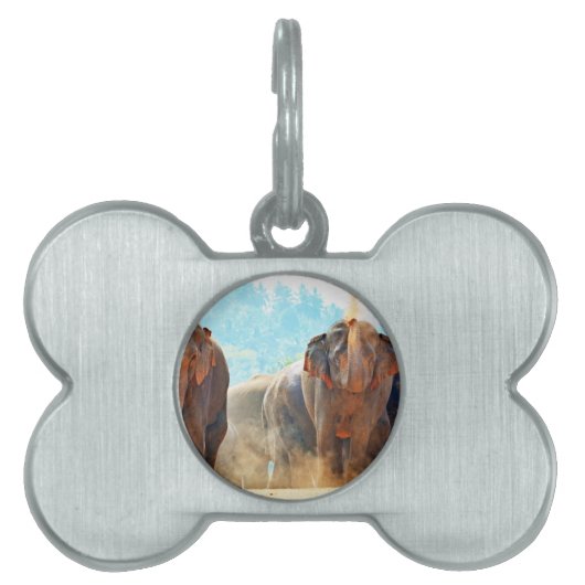 象 動物 サファリ 運命 平和 愛 ペットネームタグ (正面)