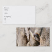 象 名刺 (正面/裏面)