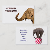 象 名刺 (正面/裏面)