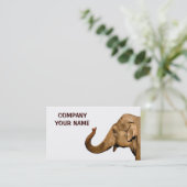 象 名刺 (スタンド正面)