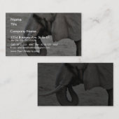 象 名刺 (正面/裏面)