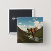 象 缶バッジ (正面&裏面)