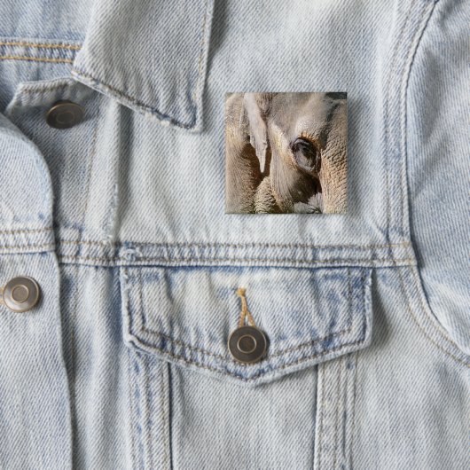 象 缶バッジ (インサイチュ)