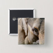 象 缶バッジ (正面&裏面)