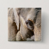 象 缶バッジ (正面)