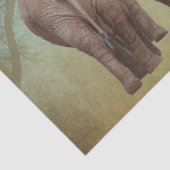 象 薄葉紙 (詳細)