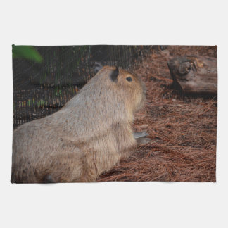 豪奢なカピバラの背部眺め動物 キッチンタオル