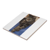 豪奢なデーブの小さい陶磁器の写真のタイル タイル (側面)