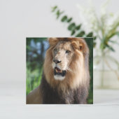 豪奢なライオンの招待状 招待状 (スタンド正面)