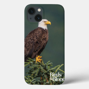 豪奢な白頭鷲 iPhone 13ケース