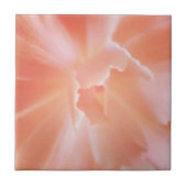 豪華で柔らかいサケによって着色されるベゴニア タイル (正面)