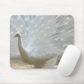 豪華で白い孔雀 マウスパッド (マウス)