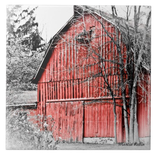 豪華で赤い納屋 タイル (正面)