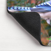 豪華なアオカケス マウスパッド (コーナー)