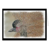 豪華なアフリカクレーン (正面横)