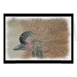 豪華なアフリカクレーン