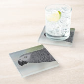 豪華なアフリカ灰色のオウム ガラスコースター (アングル)