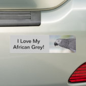 豪華なアフリカ灰色のオウム バンパーステッカー (車上)