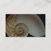 豪華なオウムガイの貝 名刺 (裏面)