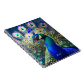 豪華なクジャクでティール(緑がかった色)と金ゴールド羽毛 ノートブック (右側)