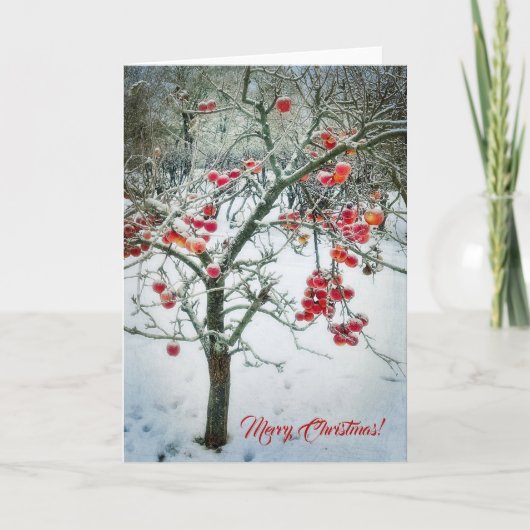 豪華なクリスマスグリーティングカード！ カード (正面)