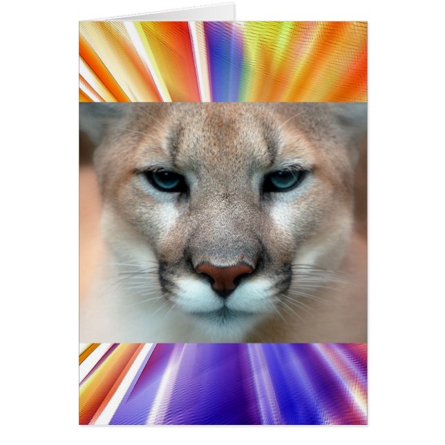 豪華なクーガー (正面)