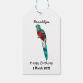 豪華なケツァル鳥の漫画イラストレーション ギフトタグ (裏面)