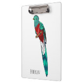 豪華なケツァル鳥の漫画イラストレーション クリップボード (左)