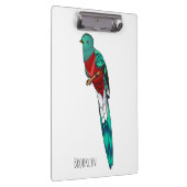 豪華なケツァル鳥の漫画イラストレーション クリップボード (右)