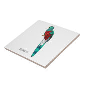 豪華なケツァル鳥の漫画イラストレーション タイル (側面)